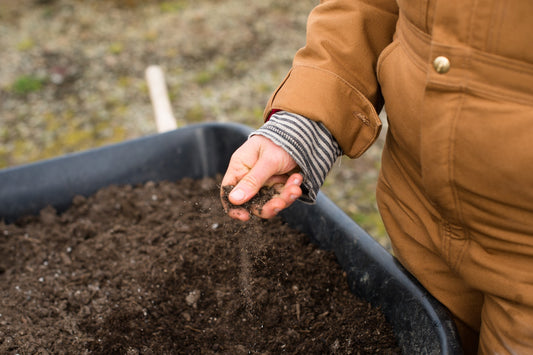 Hands cupping peat dirt